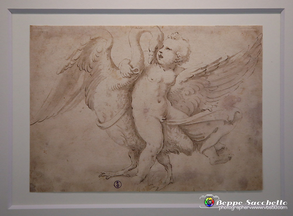 VBS_0023 - Mostra Nel segno di Raffaello.jpg
